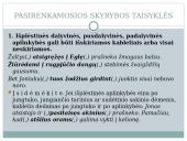 Išplėstinės aplinkybės ir jų skyryba 8 puslapis