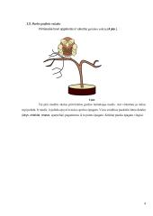 Suvenyras iš špagato 4 puslapis