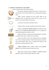 Suvenyras iš špagato 5 puslapis