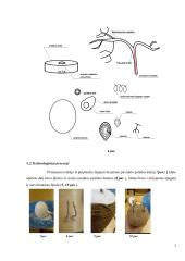 Suvenyras iš špagato 7 puslapis