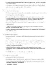 Filosofijos kolio teorija 19 puslapis