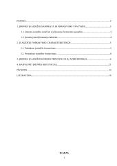 Įmonės įvaizdis 2 puslapis