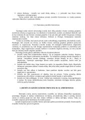 Įmonės įvaizdis 7 puslapis