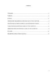 Fizinis ir psichinis vaiko gniuždymas  2 puslapis