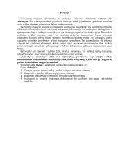 Įmonės „X“ raštvedybos sistemos analizė 2 puslapis