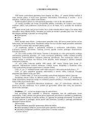 Įmonės „X“ raštvedybos sistemos analizė 3 puslapis