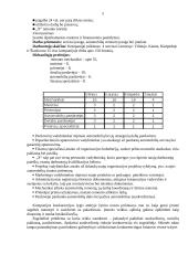 Įmonės „X“ raštvedybos sistemos analizė 4 puslapis