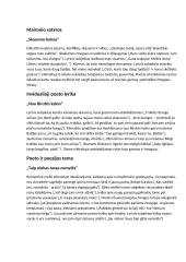 Maironio gyvenimas, asmenybė ir kūrybos apžvalga 2 puslapis