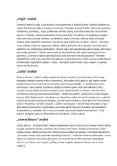 Biliūno kūrinių analizės 2 puslapis