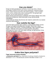 Ebolos virusinė liga ir jos sukelėjai 3 puslapis