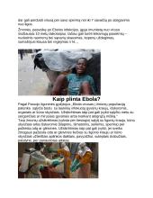 Ebolos virusinė liga ir jos sukelėjai 5 puslapis