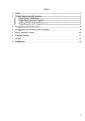 Viešųjų finansų kontrolės sistema 2 puslapis