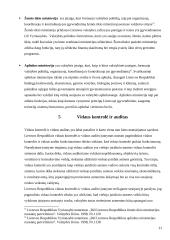 Viešųjų finansų kontrolės sistema 11 puslapis