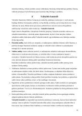 Viešųjų finansų kontrolės sistema 12 puslapis