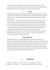 Viešųjų finansų kontrolės sistema 13 puslapis