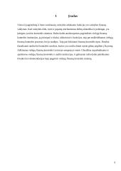 Viešųjų finansų kontrolės sistema 3 puslapis