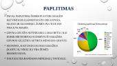 8B grupės elementai. Geležis ir jo neorganiniai junginiai 4 puslapis