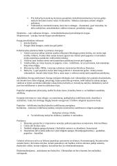 Krikščionybė tai monoteistinė religija 2 puslapis