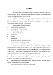 Įmonės verslo etikos valdymas 2 puslapis