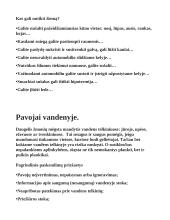 Žmogaus sauga ir žmogaus gyvybei gresiantys pavojai 13 puslapis