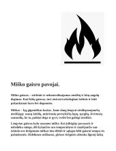 Žmogaus sauga ir žmogaus gyvybei gresiantys pavojai 16 puslapis