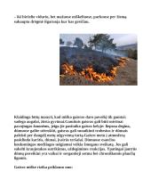 Žmogaus sauga ir žmogaus gyvybei gresiantys pavojai 17 puslapis