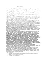 Induizmas 2 puslapis