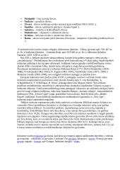 Induizmas 3 puslapis