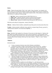 Induizmas 4 puslapis