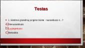 Elektrinės grandinės – kas tai? 15 puslapis