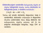 Elektrolizė. Elektrolizės dėsniai 19 puslapis