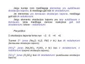 Oksidacijos ir redukcijos reakcijos 6 puslapis