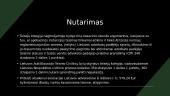 Civilinės bylos nagrinėjimas 11 puslapis