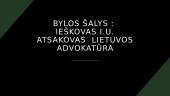 Civilinės bylos nagrinėjimas 3 puslapis