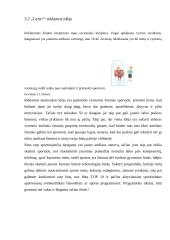 Sporto klubo „GymPlius“ tyrimas 12 puslapis