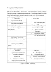 Sporto klubo „GymPlius“ tyrimas 18 puslapis