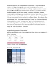 Sporto klubo „GymPlius“ tyrimas 7 puslapis