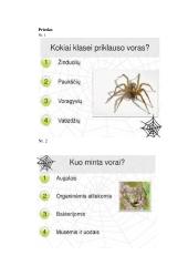 Voragyvių savaitės planas 19 puslapis