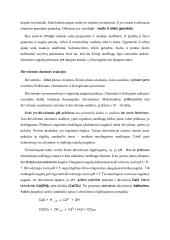 Druskų svarba 2 puslapis