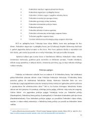 Viešojo valdymo procesas Vokietijoje 11 puslapis