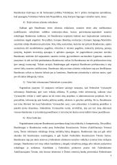 Viešojo valdymo procesas Vokietijoje 9 puslapis
