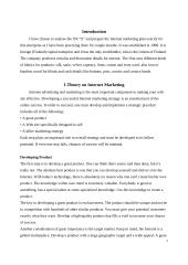 Internet Marketing 2 puslapis