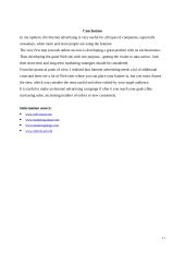 Internet Marketing 11 puslapis