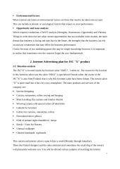 Internet Marketing 7 puslapis