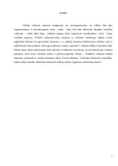 Viešasis administravimas. Vokietijos analizė 2 puslapis