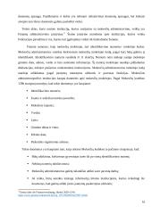 Viešasis administravimas. Vokietijos analizė 16 puslapis