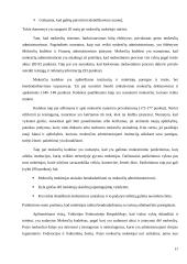 Viešasis administravimas. Vokietijos analizė 17 puslapis