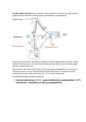 Širdies susitraukimai ir virškinimo fiziologija 14 puslapis