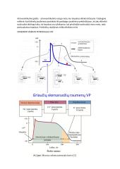 Širdies susitraukimai ir virškinimo fiziologija 3 puslapis