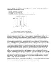 Širdies susitraukimai ir virškinimo fiziologija 4 puslapis